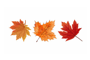 AUTUMN LEAVES