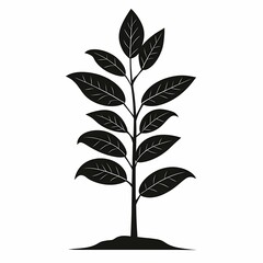 Sustainable Green Botanical Illustration: Eco-Friendly Plant and Tree Sprout with Leaves and Soil