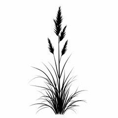 Elegant Silhouette of Black Ornamental Grass - Minimalist Nature Vector Art Design for Botanical Landscapes