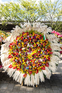 Exotic Colombian flower silletas - Colorful festival in Medellin.