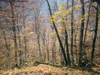 Autumn landscape of Rila Mountain, Bulgaria