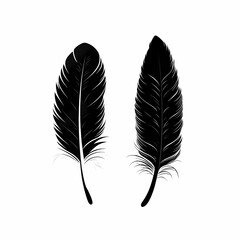 Elegant Black Feather Vector Artwork: Minimalistic Nature-Inspired Graphic Design