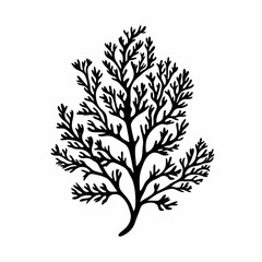 Elegant Coral Silhouette: Organic Shapes and Detailed Patterns in Nature Illustration