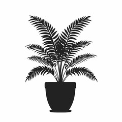 Modern Decorative Indoor Ferns: Illustrative Potted Greenery for Home Aesthetics and Botanical Art