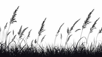 Silhouetted Grass in a Tranquil Nature Landscape: Black and White Photography of Natural Scenery with Minimalist Botanical Elements
