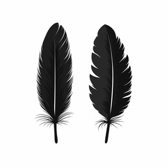 Black Feather Illustration | Nature-Inspired Vector Design Art & Texture