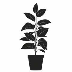 Modern Botanical Art Illustration: Sustainable Living with Black Silhouette Indoor Plants for Minimalist Home Decor