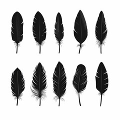 Black Feathers Silhouette: Monochrome Bird Feather Illustration for Nature-Inspired Graphic Design and Print