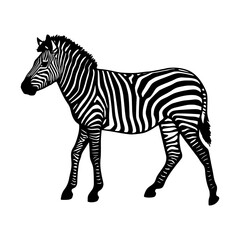 Obraz premium Zebra Silhouette Vector Illustration