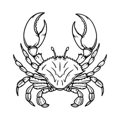 Crab Illustration - Vector Graphic