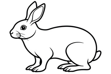  coloring  Rabbit outline vector illustration and ready for print. white  background.