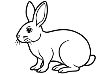  coloring  Rabbit outline vector illustration and ready for print. white  background.