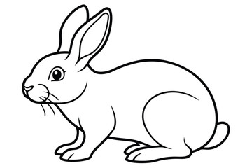  coloring  Rabbit outline vector illustration and ready for print. white  background.