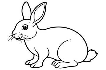  coloring  Rabbit outline vector illustration and ready for print. white  background.