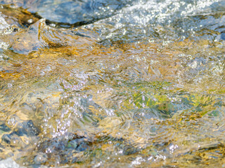 春の川　水の流れアップ135