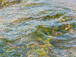 春の川　水の流れアップ155