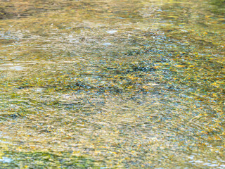 春の川　水の流れアップ173