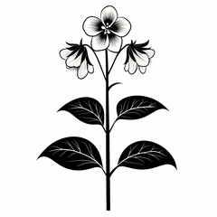Botanical Illustration: Black and White Floral Artwork with Vintage Hand-Drawn Aesthetic