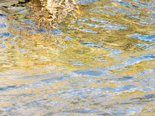 春の川　水の流れアップ199
