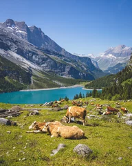 Handdoek met foto Oeschinensee lake in Switzerland, beautiful destination for hiking in swiss alps © Dmitrii