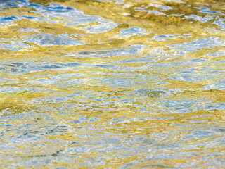 Obraz premium 春の川 水の流れアップ209