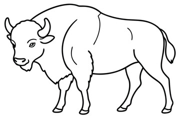 coloring  Bison outline vector illustration and ready for print.