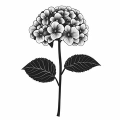 Black and White Hydrangea Illustration: Elegant Floral Silhouette Art for Home Decor