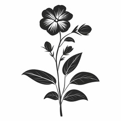 Monochrome Black Floral Illustration: Hand-Drawn Botanical Artwork with Vintage Elegance