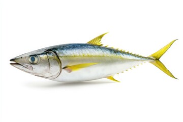 Naklejka premium A detailed image showcasing a fresh yellowfin tuna fish