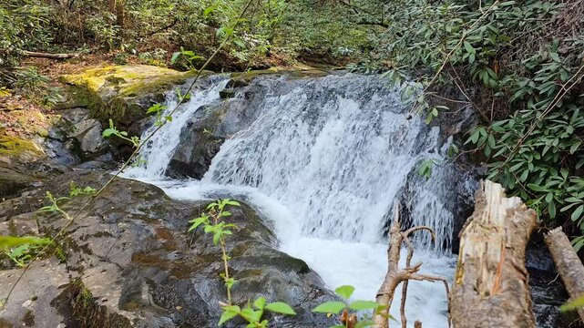 Beautiful small waterfall. Calming video of nature and landscape