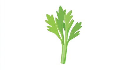 Fresh celery stalk with leaves