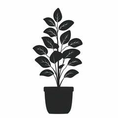 Indoor Silhouette: Black and White Potted Plant for Stylish Interior Design and Plant Care