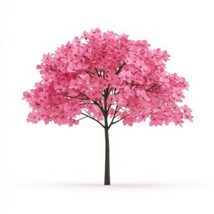 Fototapeta premium Bright blooms adorn the Flowering Dogwood Tree, a stunning symbol of springs arrival against crisp white hues.