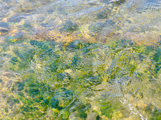 春の川　水の流れアップ217