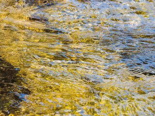 春の川　水の流れアップ235