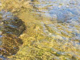 春の川　水の流れアップ246