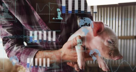 Person holding piglet with data processing animation overlaid on scene - Powered by Adobe