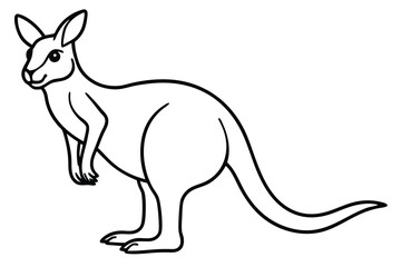 Kangaroo outline vector illustration and ready for print.