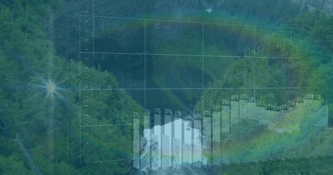 Bar chart and data grid animation over lush green forest landscape