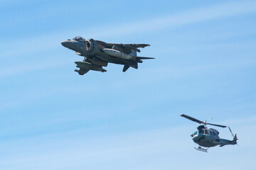 military maneuvers. Infantry, aviation and navy landing
