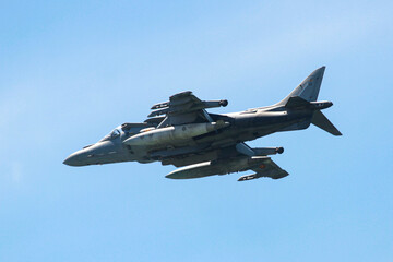 military maneuvers. Infantry, aviation and navy landing
