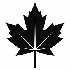 black and white star