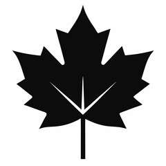 black and white star