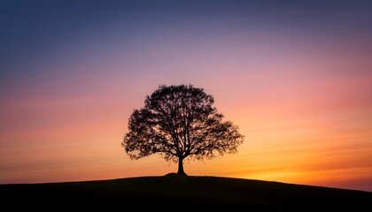 Obraz premium Minimalist silhouette of a lone tree on a hill against a stunning sunset gradient background.