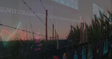 Financial data charts overlaying barbed wire fence and cornfield animation