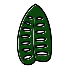 monstera tropical leaf icon
