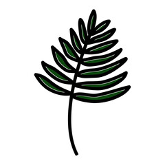 tropical leaf icon