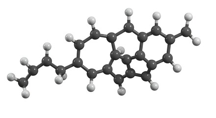 Examining Cholesterol Molecule Structure Model on White Background for Educational Purpose