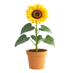 Obraz premium A 3D Potted Sunflower with Tall Bright Yellow Petals Isolated on Transparent Background