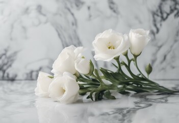 Obraz premium white eustoma flowers marble background copyspace minimalistic composition holidays